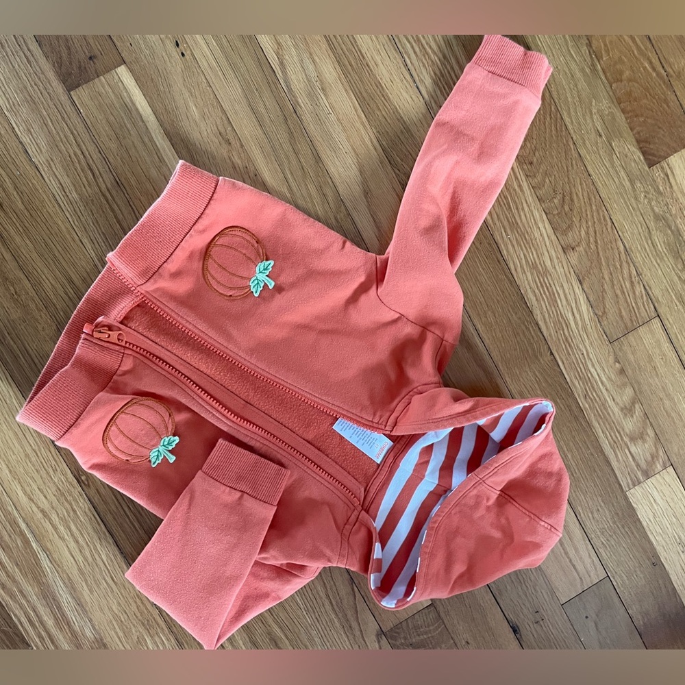 Gymboree pumpkin hoodie 2t